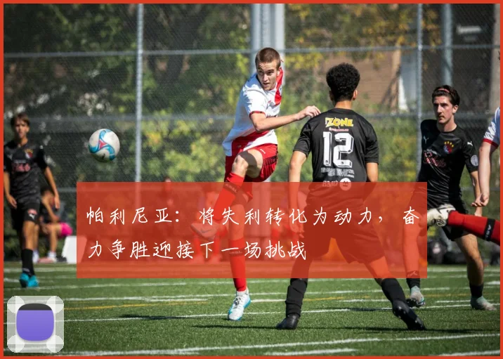 帕利尼亚：将失利转化为动力，奋力争胜迎接下一场挑战