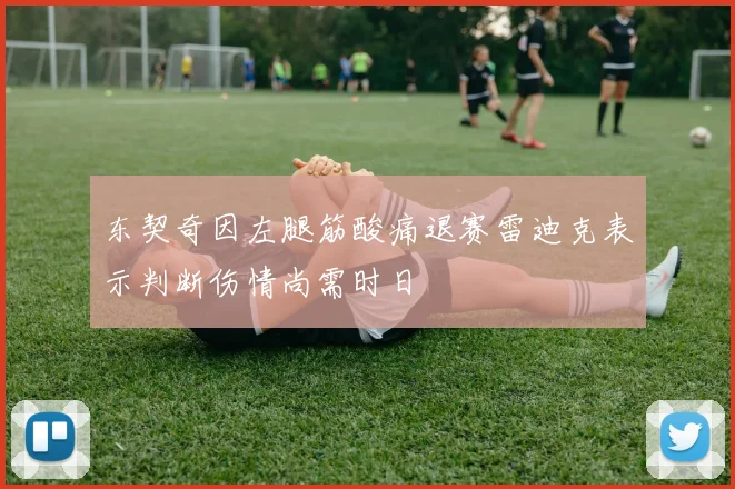 东契奇因左腿筋酸痛退赛雷迪克表示判断伤情尚需时日
