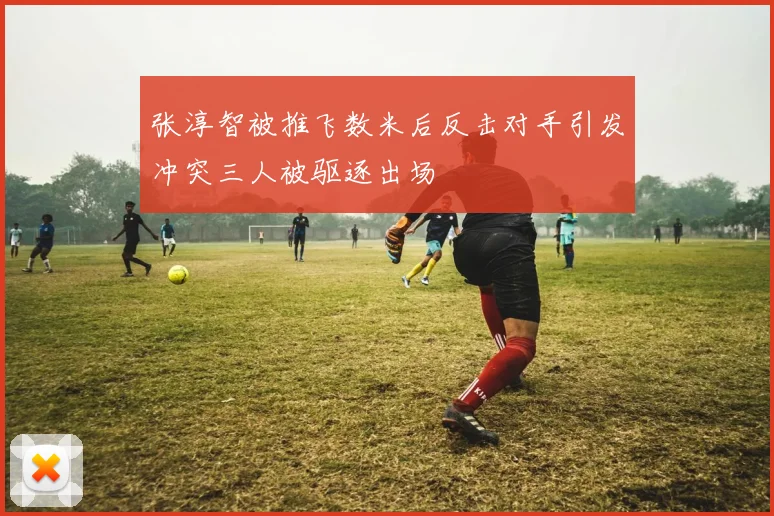 张淳智被推飞数米后反击对手引发冲突三人被驱逐出场